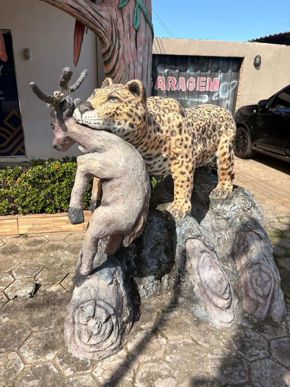 Pacote Família Itacoatiara