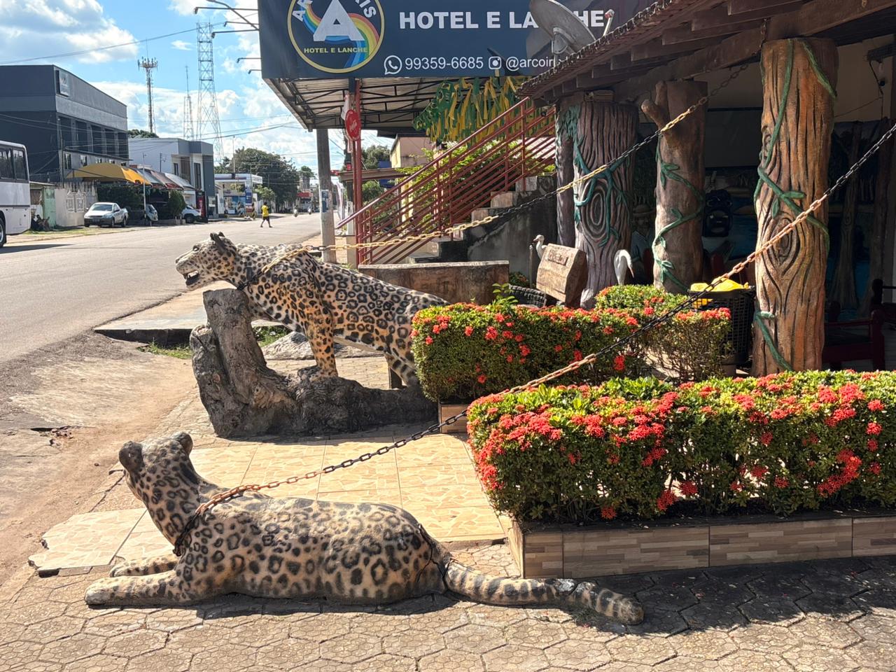 Esculturas de onças na entrada